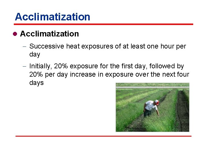 Acclimatization l Acclimatization - Successive heat exposures of at least one hour per day