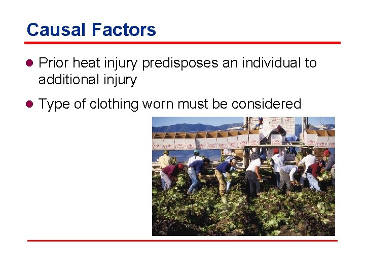 Causal Factors l Prior heat injury predisposes an individual to additional injury l Type