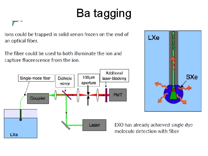 Ba tagging 