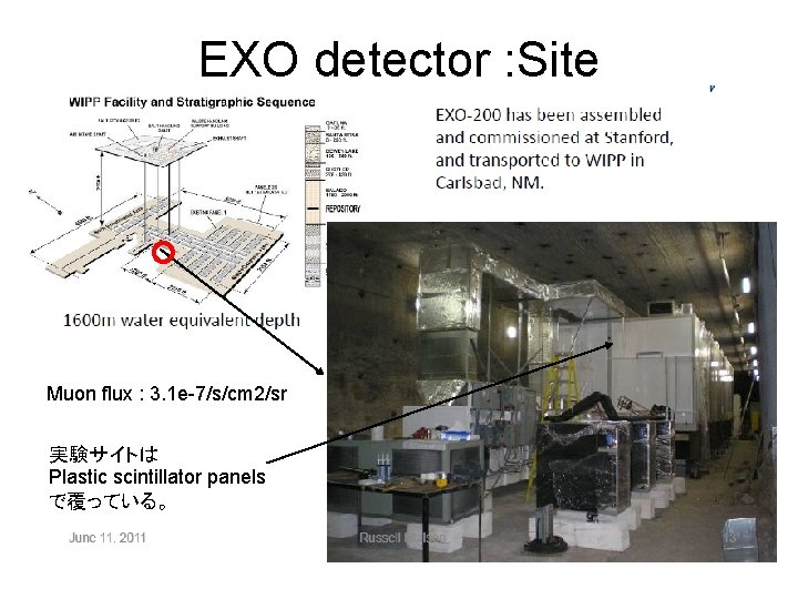 EXO detector : Site Muon flux : 3. 1 e-7/s/cm 2/sr 実験サイトは Plastic scintillator