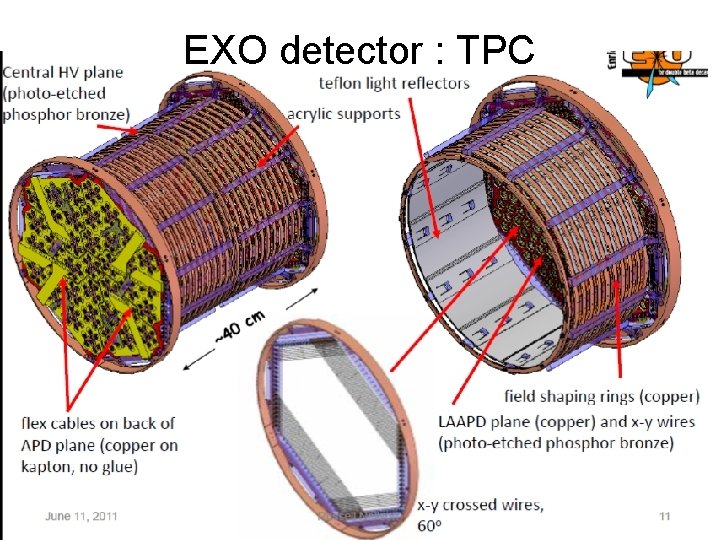 EXO detector : TPC 
