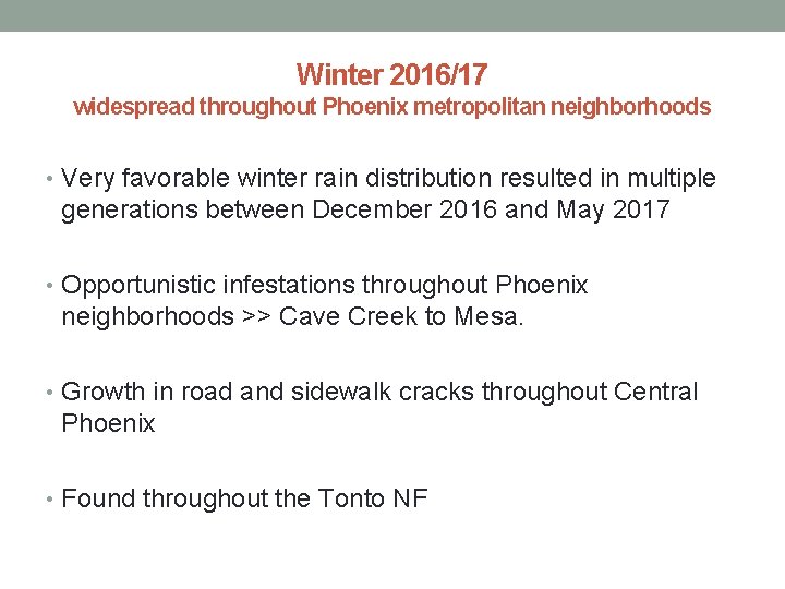Winter 2016/17 widespread throughout Phoenix metropolitan neighborhoods • Very favorable winter rain distribution resulted