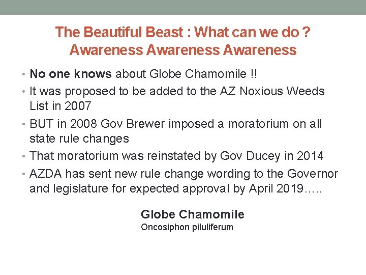 The Beautiful Beast : What can we do ? Awareness • No one knows