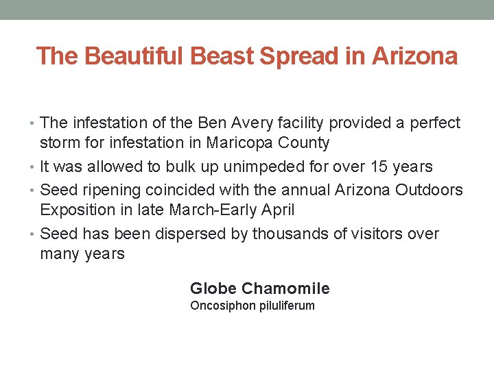 The Beautiful Beast Spread in Arizona • The infestation of the Ben Avery facility