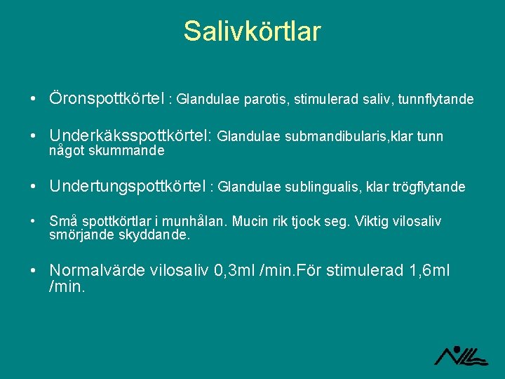 Salivkörtlar • Öronspottkörtel : Glandulae parotis, stimulerad saliv, tunnflytande • Underkäksspottkörtel: Glandulae submandibularis, klar