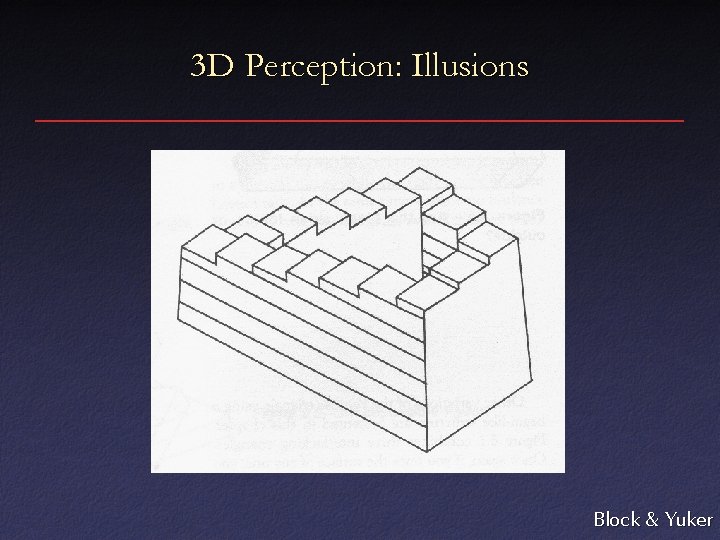 3 D Perception: Illusions Block & Yuker 