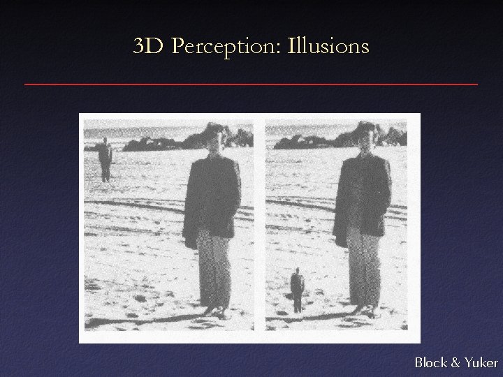 3 D Perception: Illusions Block & Yuker 
