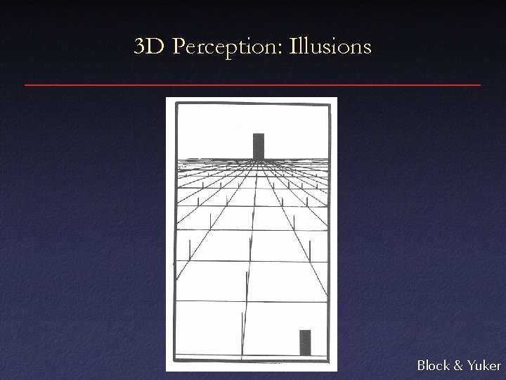3 D Perception: Illusions Block & Yuker 