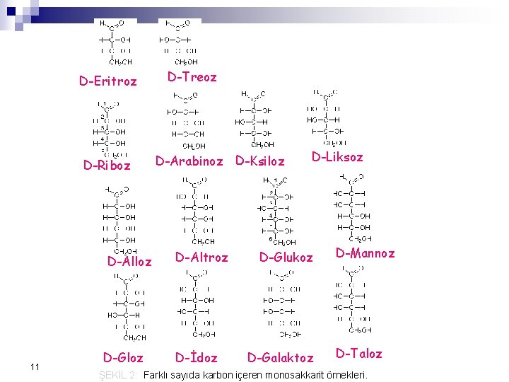 D-Eritroz D-Riboz D-Alloz 11 D-Gloz D-Treoz D-Arabinoz D-Ksiloz D-Altroz D-İdoz D-Liksoz D-Glukoz D-Galaktoz D-Mannoz