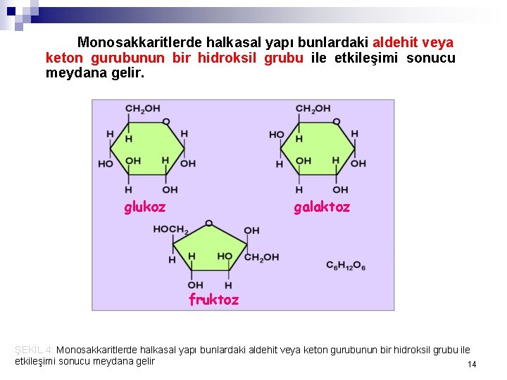 Monosakkaritlerde halkasal yapı bunlardaki aldehit veya keton gurubunun bir hidroksil grubu ile etkileşimi sonucu