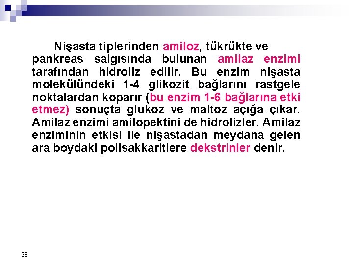 Nişasta tiplerinden amiloz, tükrükte ve pankreas salgısında bulunan amilaz enzimi tarafından hidroliz edilir. Bu