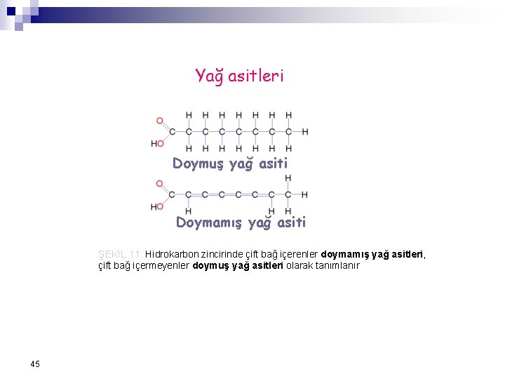 Yağ asitleri Doymuş yağ asiti Doymamış yağ asiti ŞEKİL 11: Hidrokarbon zincirinde çift bağ Yağ asitleri Doymuş yağ asiti Doymamış yağ asiti ŞEKİL 11: Hidrokarbon zincirinde çift bağ