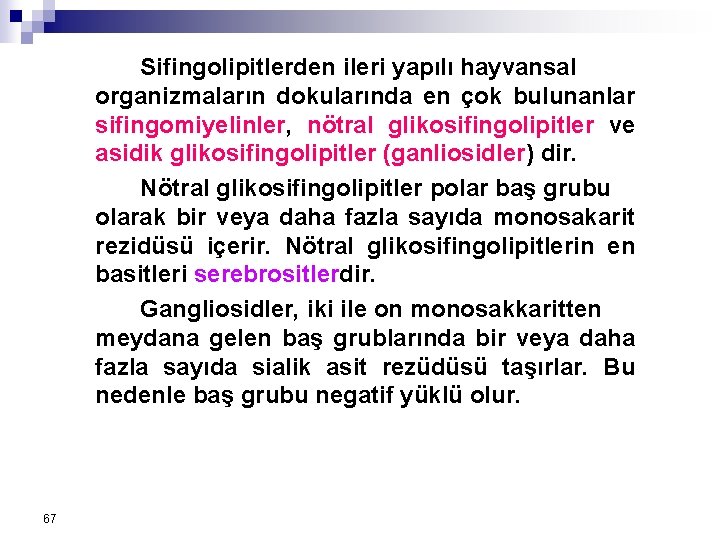 Sifingolipitlerden ileri yapılı hayvansal organizmaların dokularında en çok bulunanlar sifingomiyelinler, nötral glikosifingolipitler ve asidik