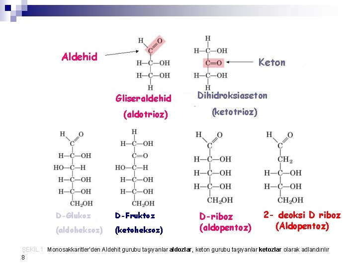 Aldehid Keton Gliseraldehid Dihidroksiaseton (aldotrioz) (ketotrioz) D-Glukoz D-Fruktoz (aldoheksoz) (ketoheksoz) D-riboz (aldopentoz) 2 -