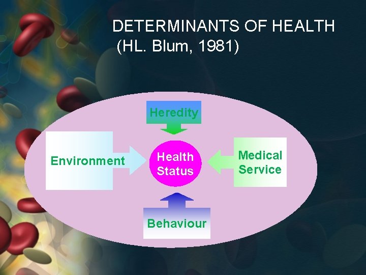 DETERMINANTS OF HEALTH (HL. Blum, 1981) Heredity Environment Health Status Behaviour Medical Service 