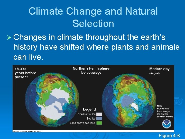 Climate Change and Natural Selection Ø Changes in climate throughout the earth’s history have