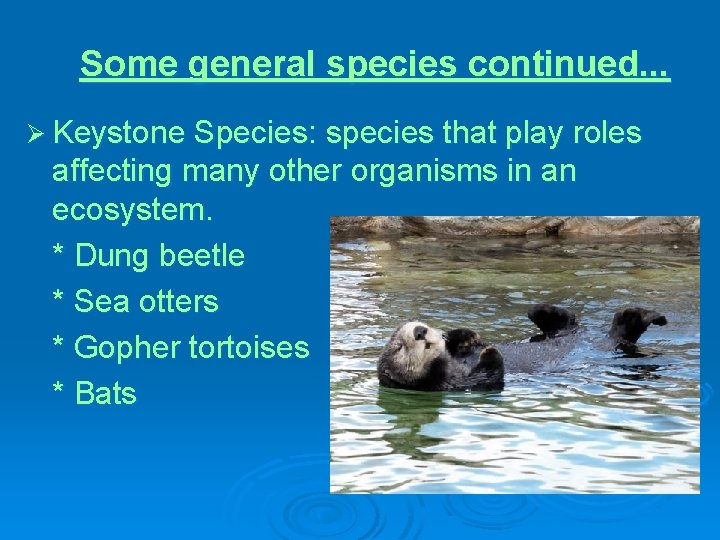 Some general species continued. . . Ø Keystone Species: species that play roles affecting