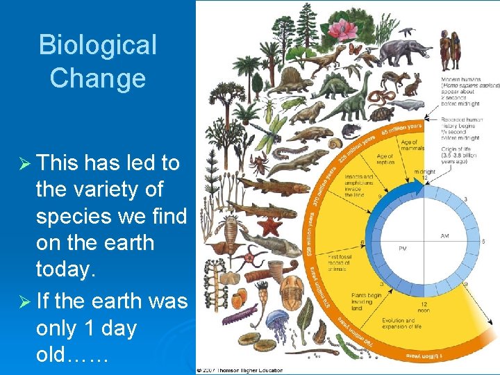 Biological Change Ø This has led to the variety of species we find on