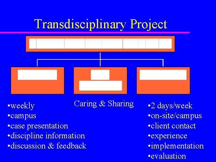 Transdisciplinary Project Caring & Sharing • weekly • campus • case presentation • discipline
