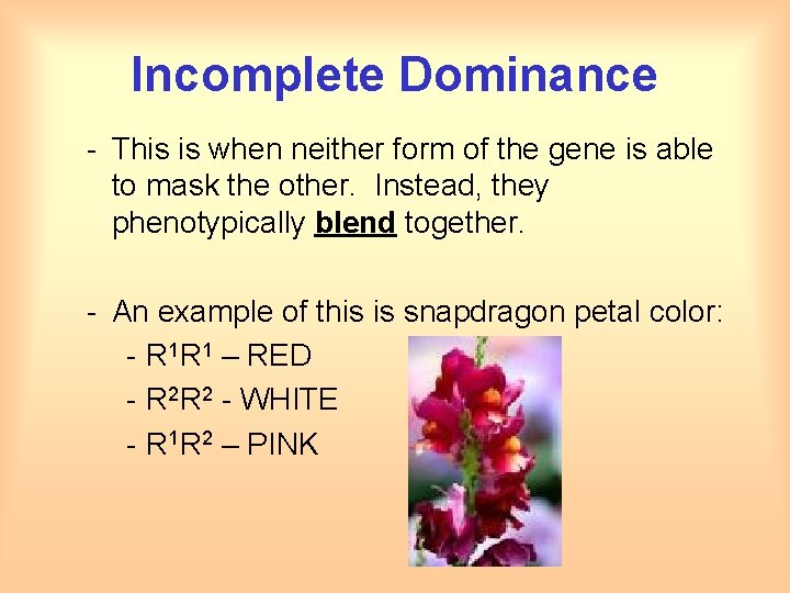 Incomplete Dominance - This is when neither form of the gene is able to