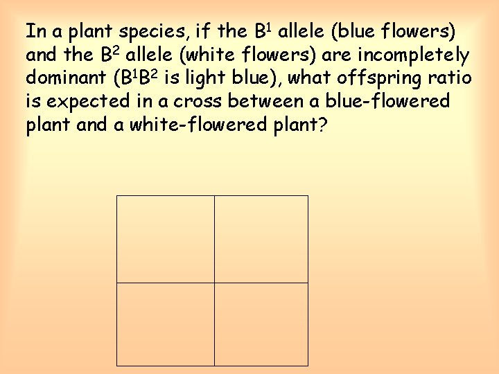 In a plant species, if the B 1 allele (blue flowers) and the B