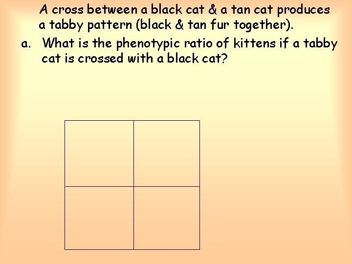 A cross between a black cat & a tan cat produces a tabby pattern