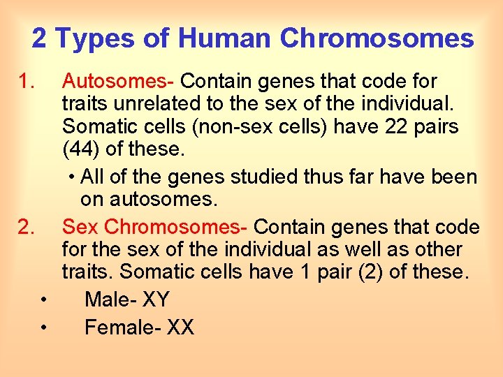 2 Types of Human Chromosomes 1. Autosomes- Contain genes that code for traits unrelated