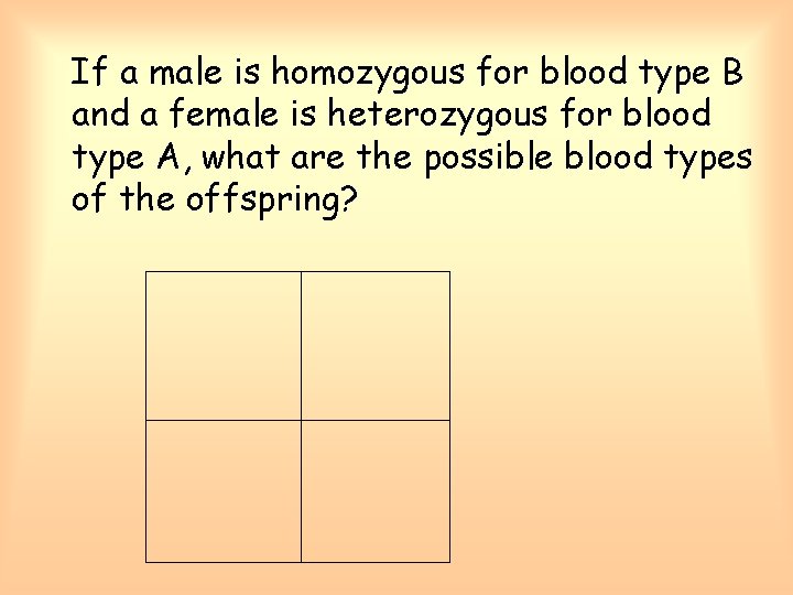 If a male is homozygous for blood type B and a female is heterozygous