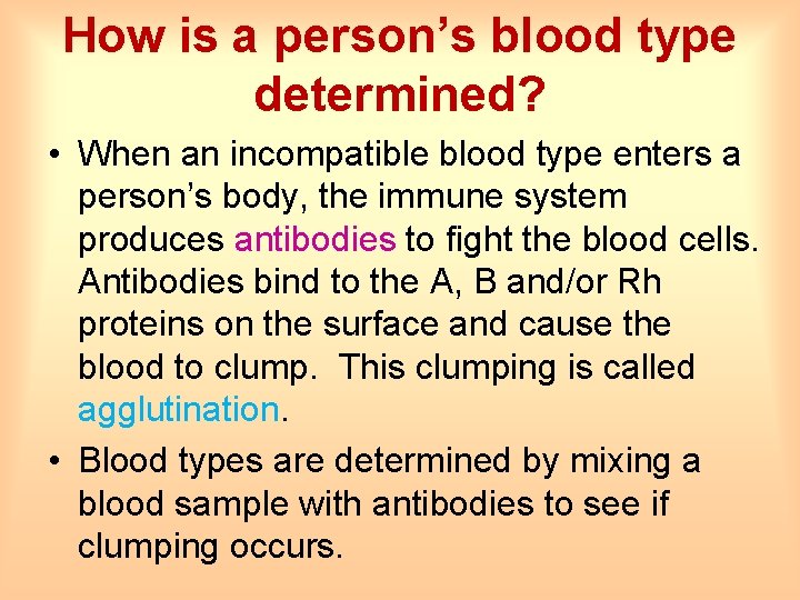 How is a person’s blood type determined? • When an incompatible blood type enters