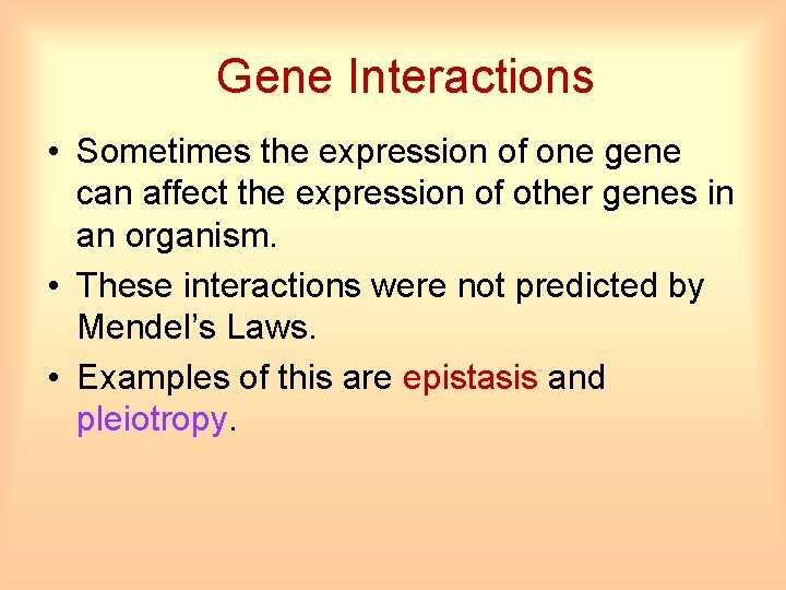 Gene Interactions • Sometimes the expression of one gene can affect the expression of