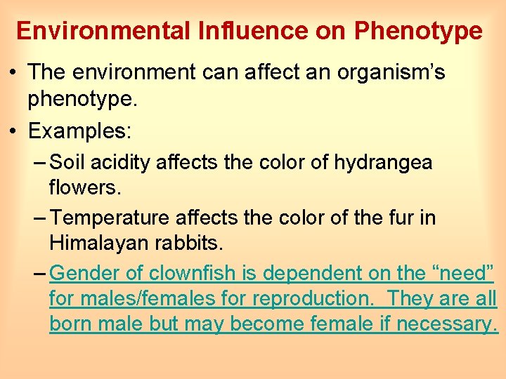 Environmental Influence on Phenotype • The environment can affect an organism’s phenotype. • Examples: