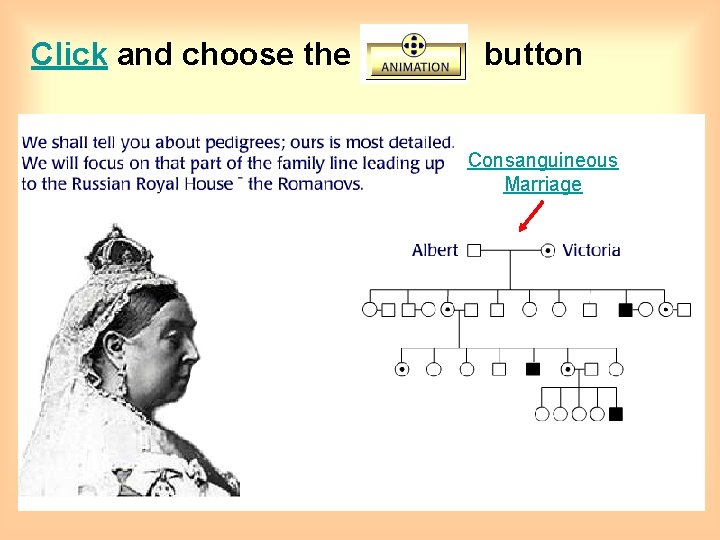 Click and choose the button Consanguineous Marriage 