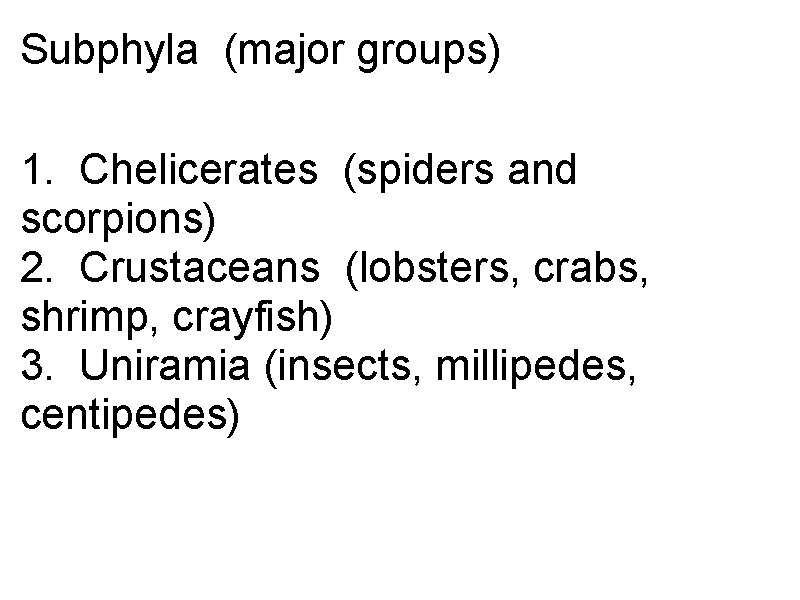 Subphyla (major groups) 1. Chelicerates (spiders and scorpions) 2. Crustaceans (lobsters, crabs, shrimp, crayfish)