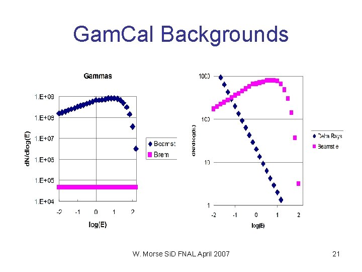 Gam. Cal Backgrounds W. Morse Si. D FNAL April 2007 21 