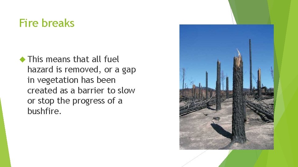 Fire breaks This means that all fuel hazard is removed, or a gap in