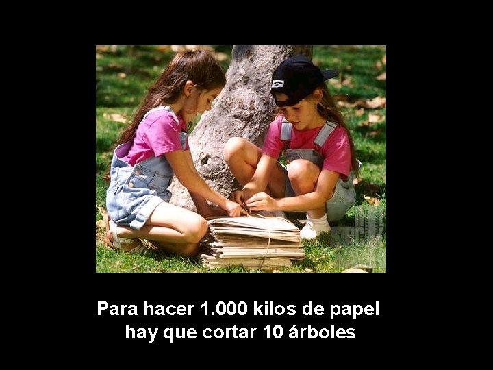 Para hacer 1. 000 kilos de papel hay que cortar 10 árboles 