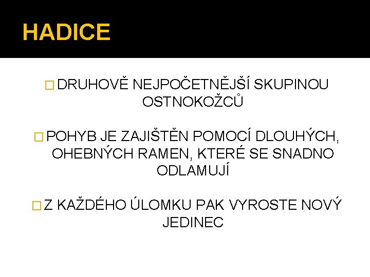 HADICE � DRUHOVĚ NEJPOČETNĚJŠÍ SKUPINOU OSTNOKOŽCŮ � POHYB JE ZAJIŠTĚN POMOCÍ DLOUHÝCH, OHEBNÝCH RAMEN,