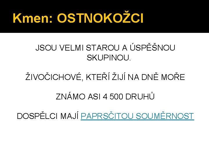 Kmen: OSTNOKOŽCI JSOU VELMI STAROU A ÚSPĚŠNOU SKUPINOU. ŽIVOČICHOVÉ, KTEŘÍ ŽIJÍ NA DNĚ MOŘE