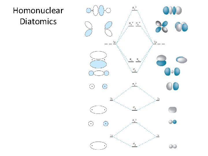 Homonuclear Diatomics 