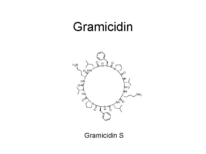 Gramicidin S 