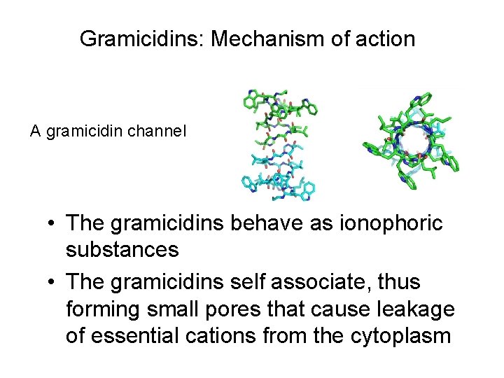 Gramicidins: Mechanism of action A gramicidin channel • The gramicidins behave as ionophoric substances