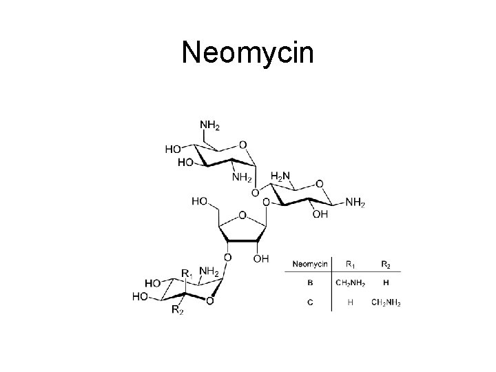 Neomycin 