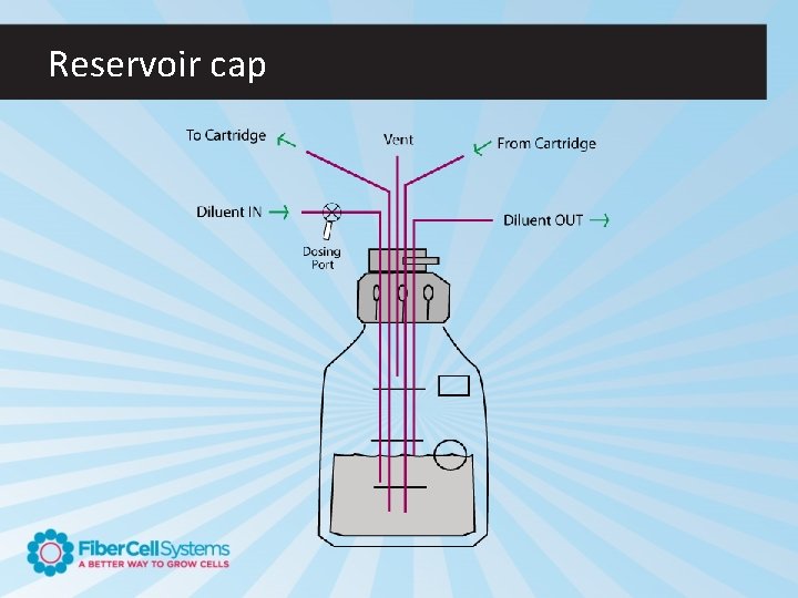Reservoir cap 
