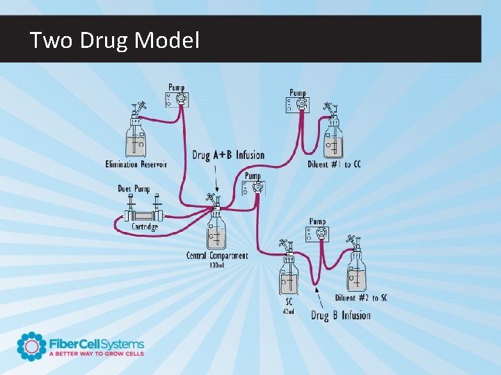 Two Drug Model 