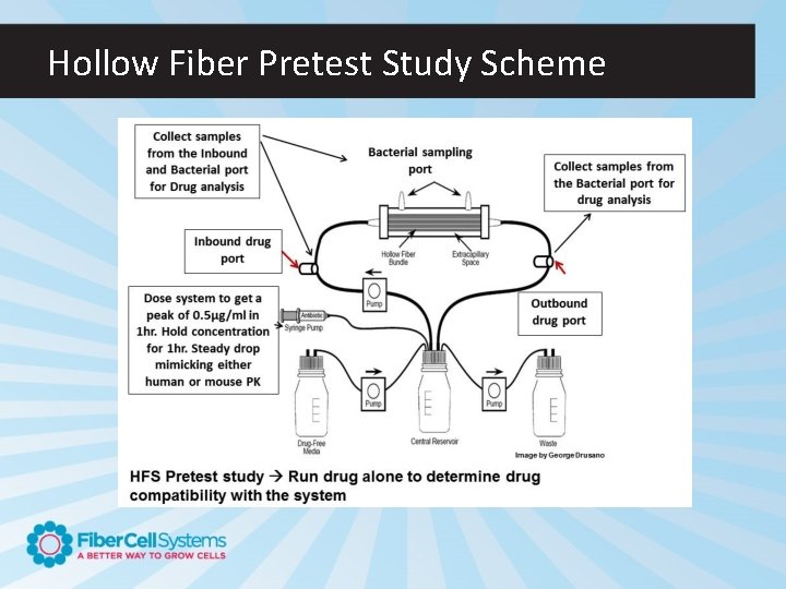 Hollow Fiber Pretest Study Scheme 