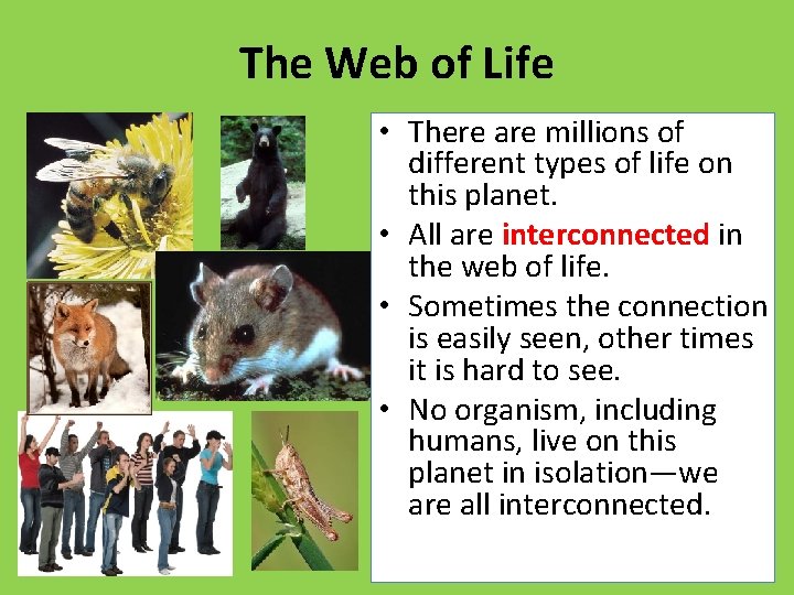 The Web of Life • There are millions of different types of life on