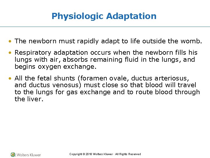 Physiologic Adaptation • The newborn must rapidly adapt to life outside the womb. •
