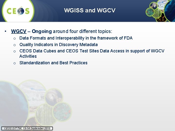 WGISS and WGCV • WGCV – Ongoing around four different topics: o Data Formats