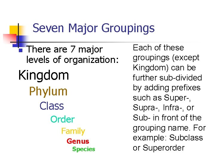 Seven Major Groupings n There are 7 major levels of organization: Kingdom Phylum Class