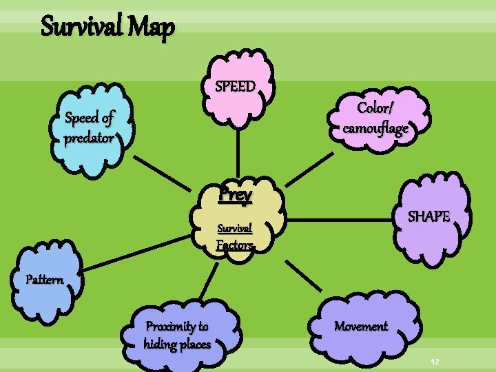 Survival Map SPEED Color/ camouflage Speed of predator Prey SHAPE Survival Factors Pattern Proximity